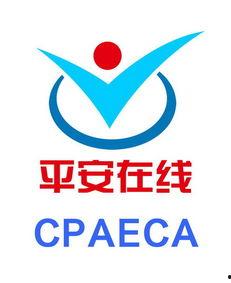 平安在线,构建智慧生活，守护网络安全新篇章