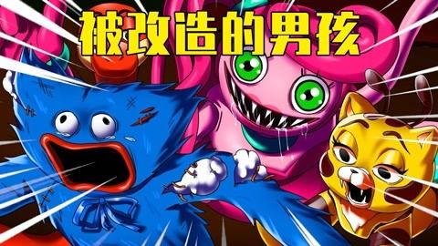 波比在线,全面健身的黄金法则揭秘