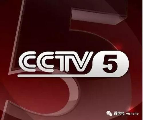 中央五套cctv5直播在线观看,实时观看精彩体育赛事，尽享运动激情
