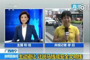 cctv13直播在线观看高清直播